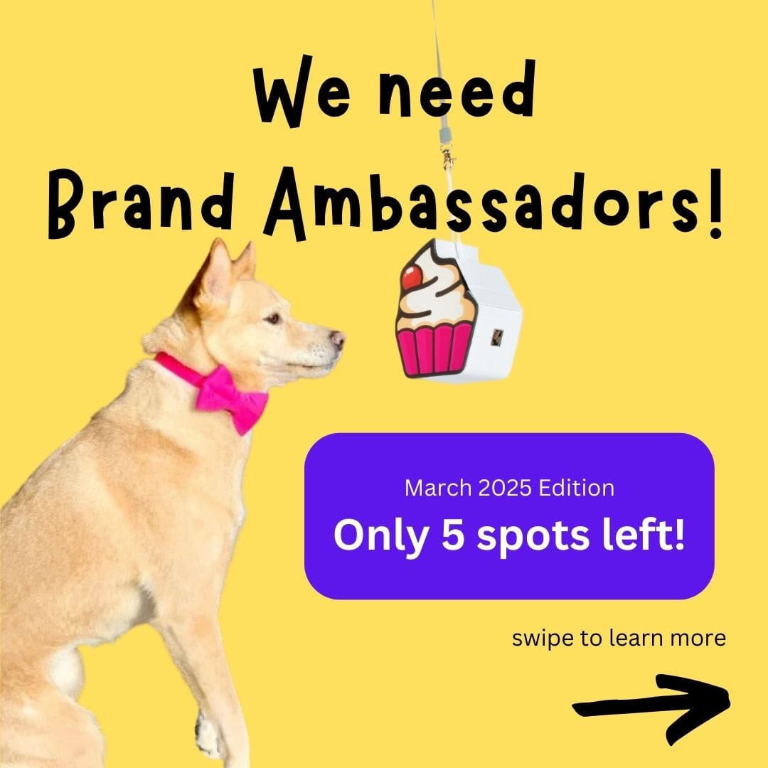 Our Brand Ambassador search post on Instagram